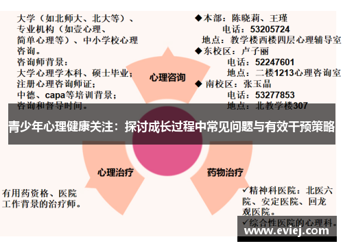 青少年心理健康关注：探讨成长过程中常见问题与有效干预策略